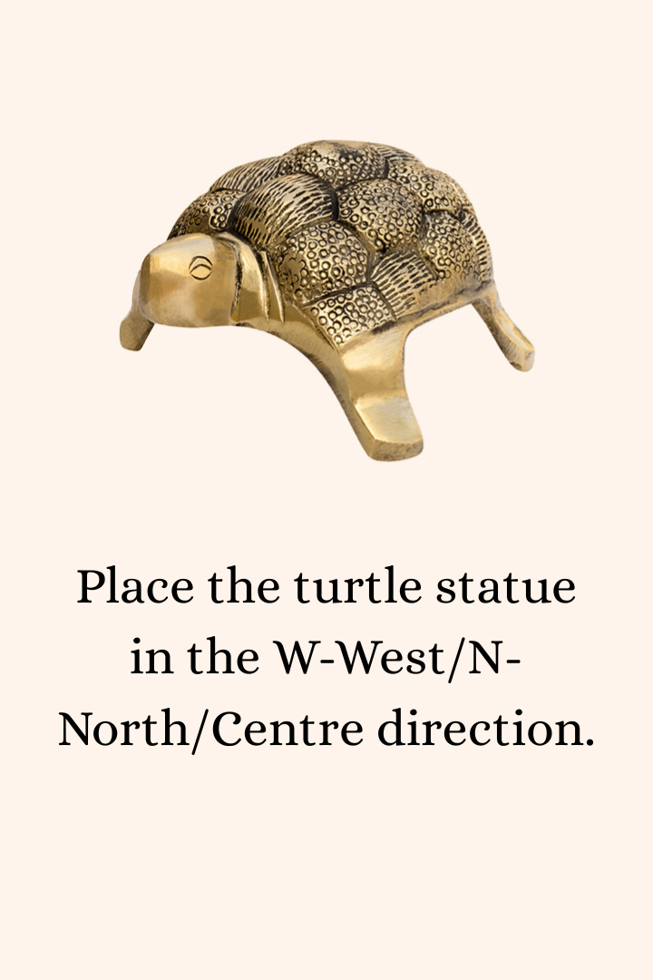Destiny Star Stores BRASS HOLLOW SMALL TURTLE