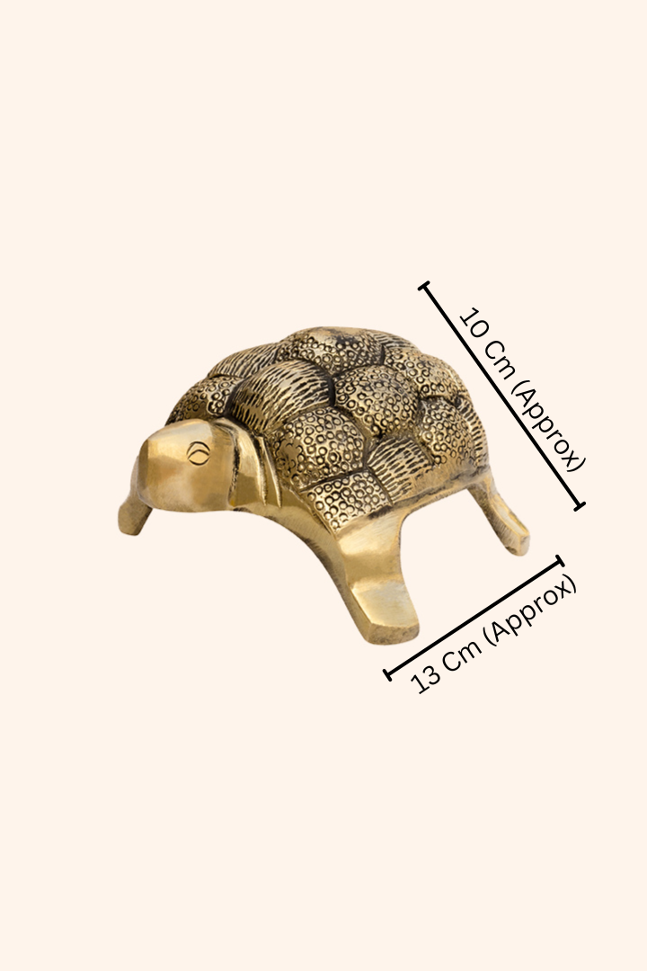 Destiny Star Stores BRASS HOLLOW SMALL TURTLE