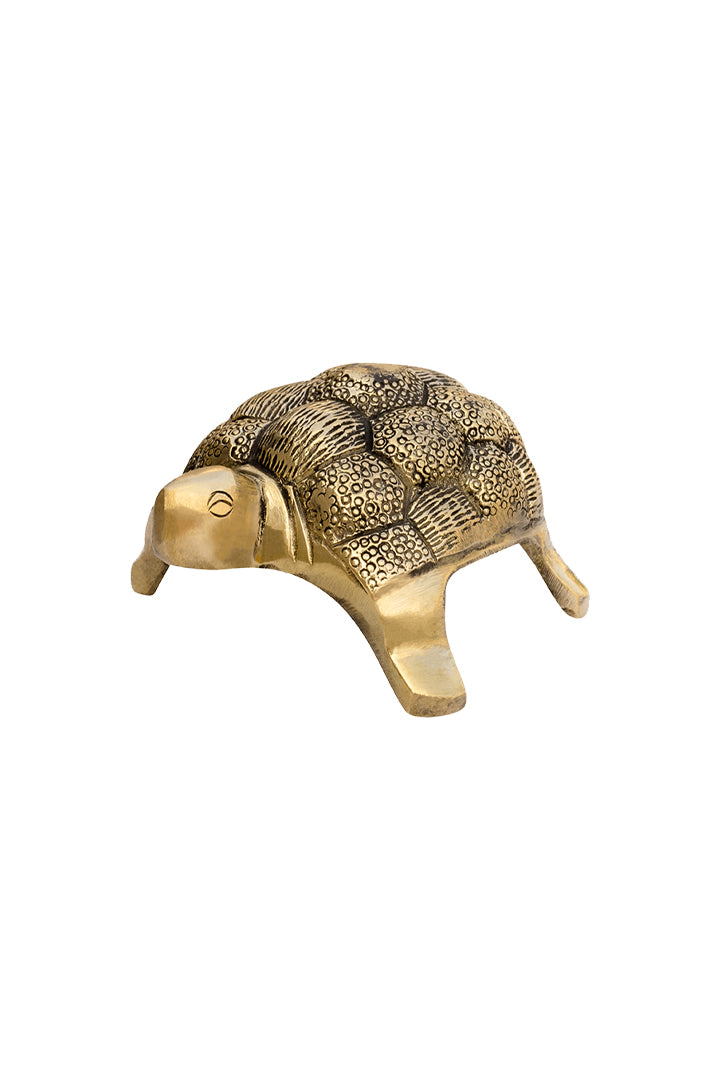 Destiny Star Stores BRASS HOLLOW SMALL TURTLE