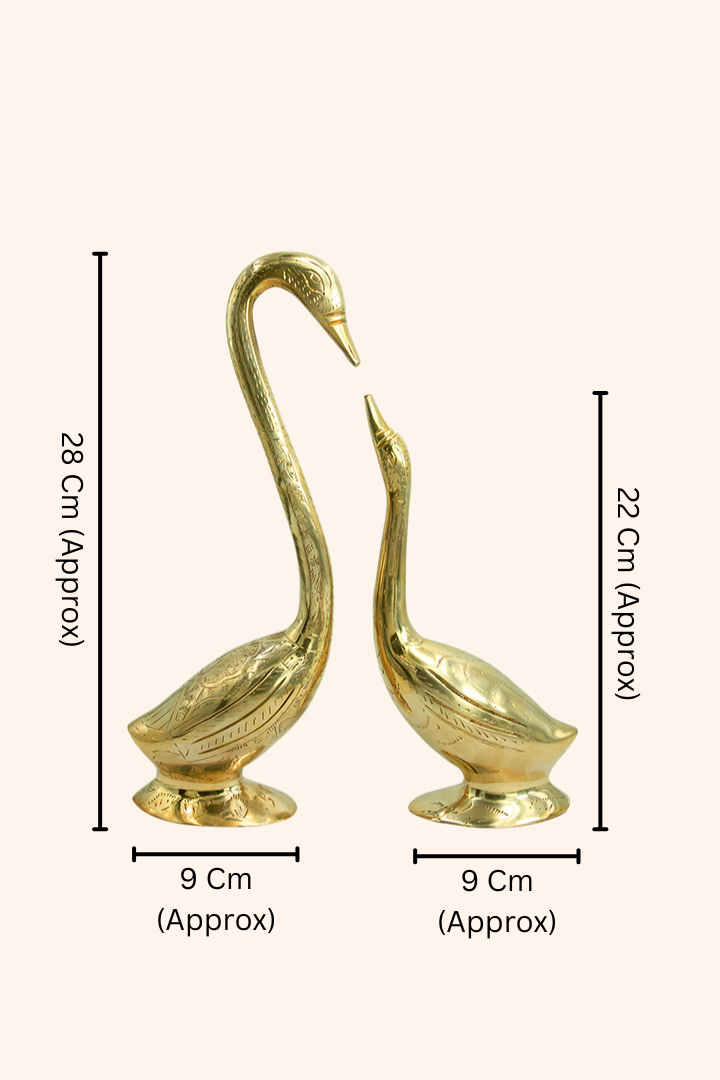 Destiny Star Stores BRASS SWAN PAIR
