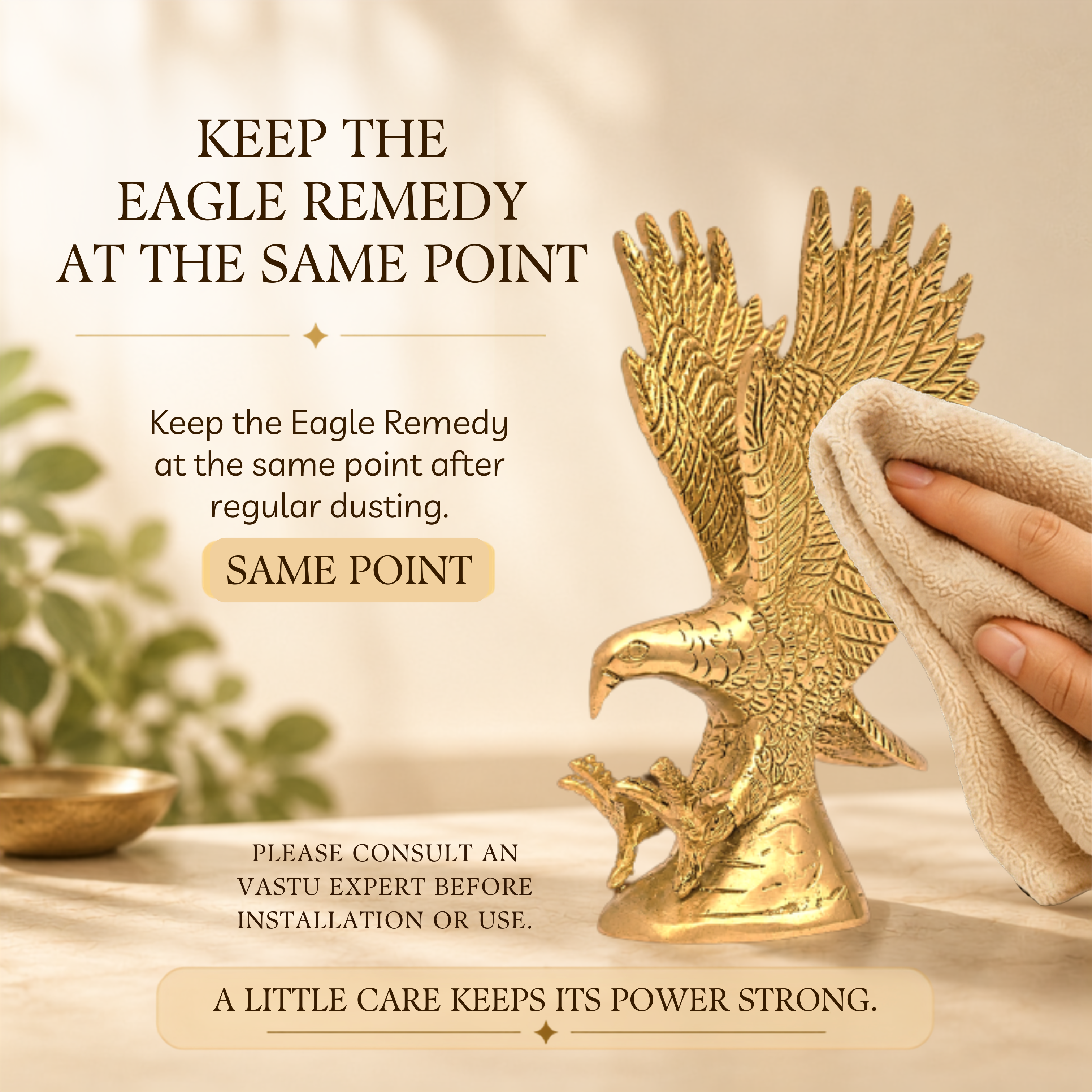 Destiny Star Stores BRASS EAGLE