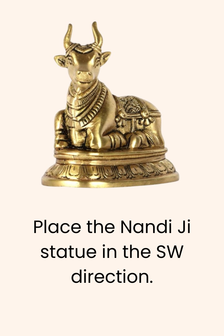 Destiny Star Stores BRASS NANDI JI