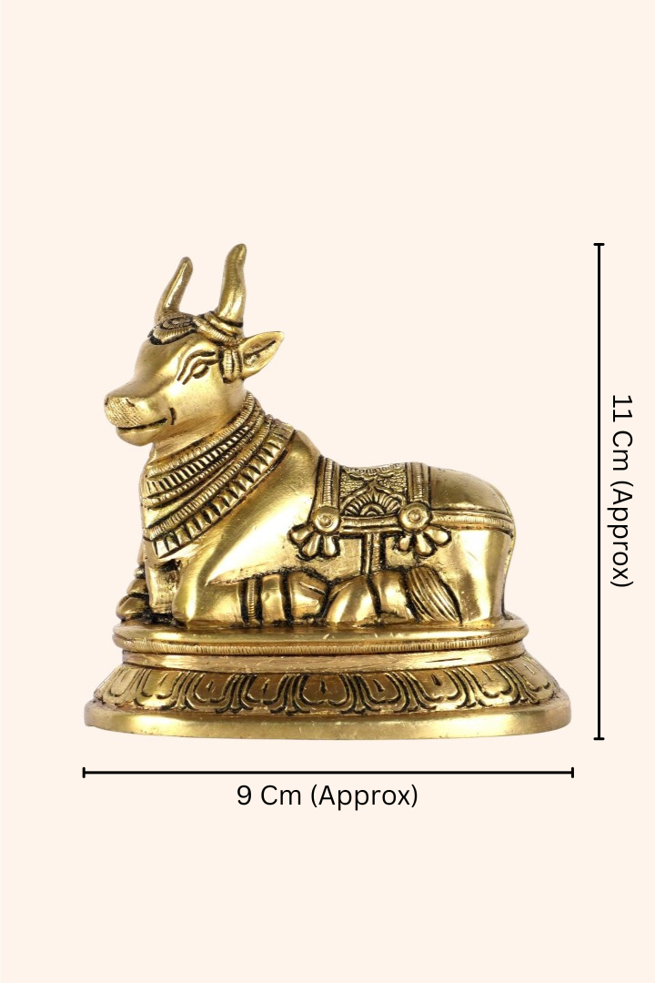 Destiny Star Stores BRASS NANDI JI