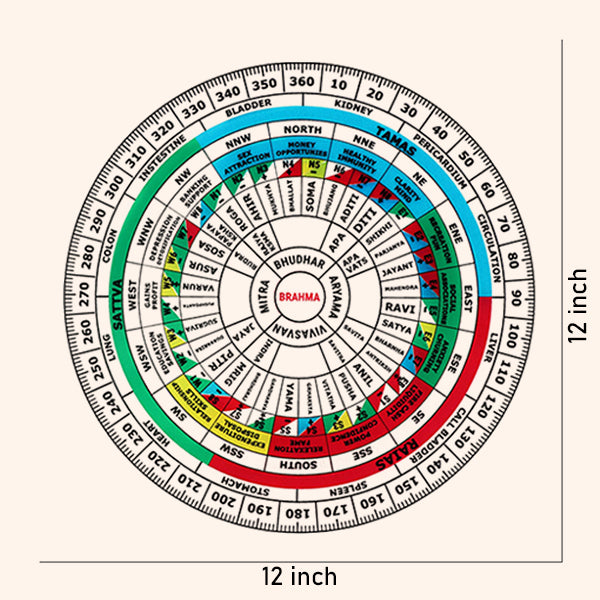 Destiny Star Stores ADVANCE SHAKTI CHAKRA 12 INCH
